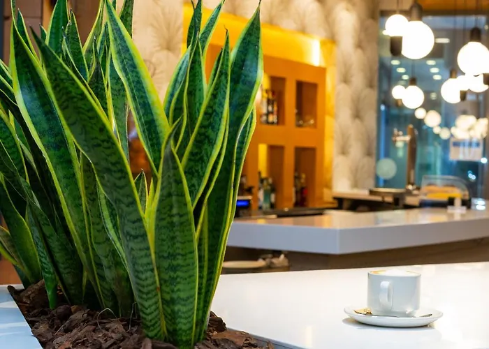 パラシオ デ アイエテ 4*